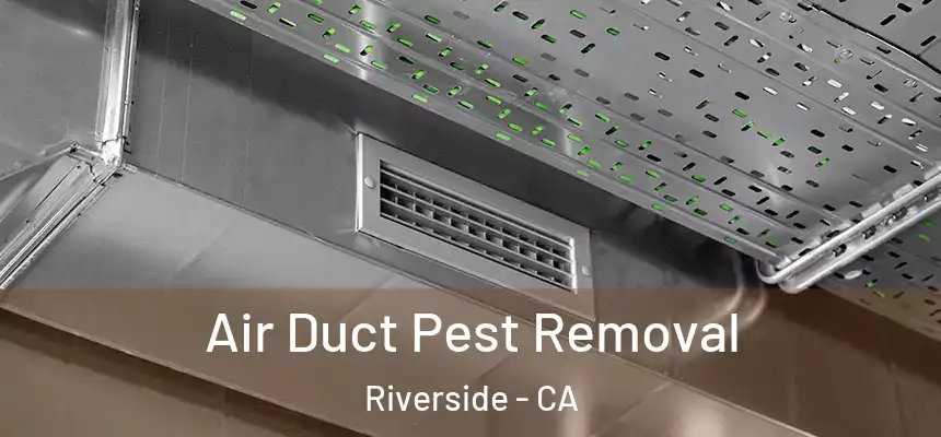 Air Duct Pest Removal Riverside - CA