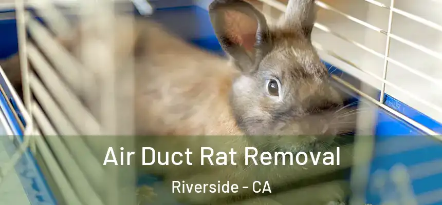 Air Duct Rat Removal Riverside - CA
