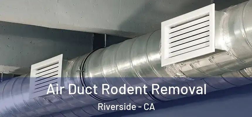 Air Duct Rodent Removal Riverside - CA
