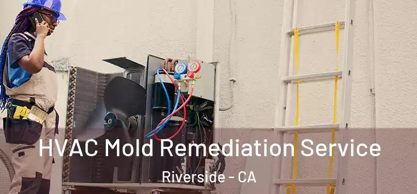  HVAC Mold Remediation Service Riverside - CA