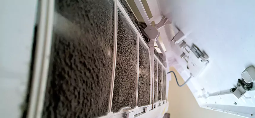 Preventive Air Duct Bacteria Removal in Riverside