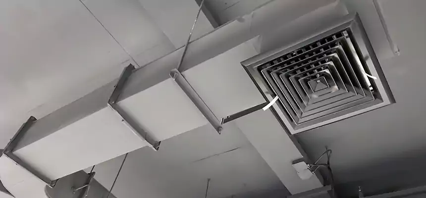 Restorative Allergy Relief Vent Cleaning – Coil, Blower & Housing Detail in Riverside