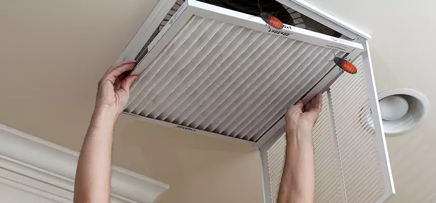 Our Insect Removal from Air Ducts Services in Riverside, CA