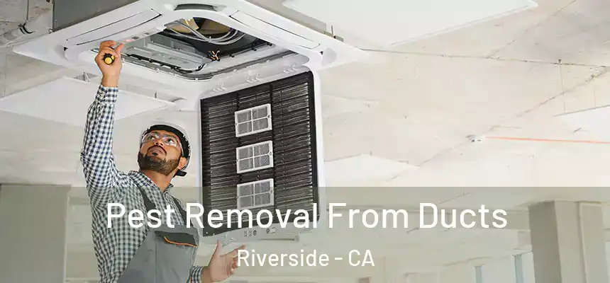 Pest Removal From Ducts Riverside - CA