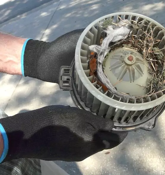 About Air Duct Rat Removal in Riverside, CA