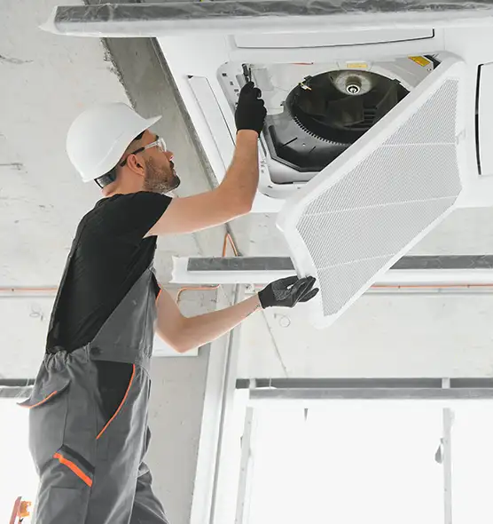 About Air Duct Rodent Removal in Riverside, CA