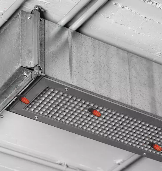 Affordable Insect Removal from Air Ducts in Riverside, CA