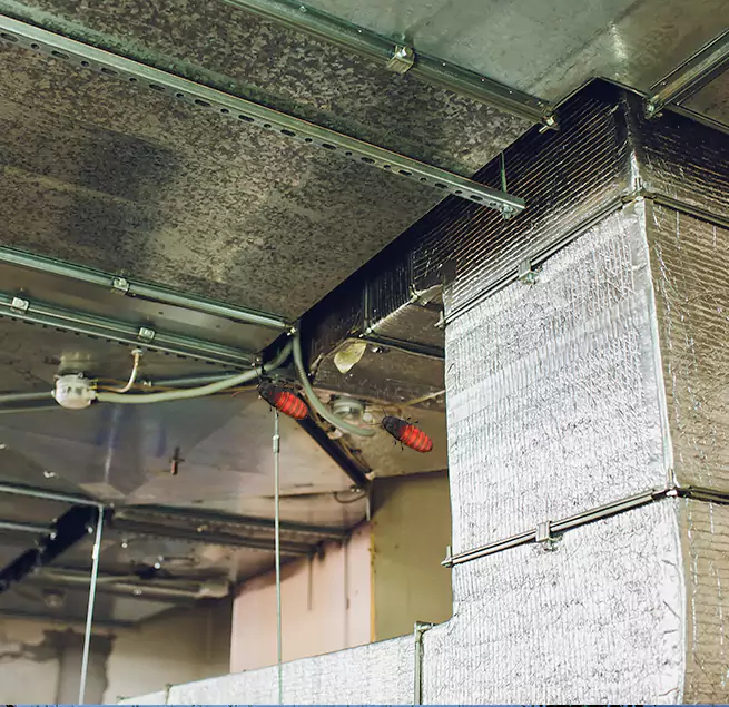 Why Homeowners & Businesses Trust Us in Riverside, CA?