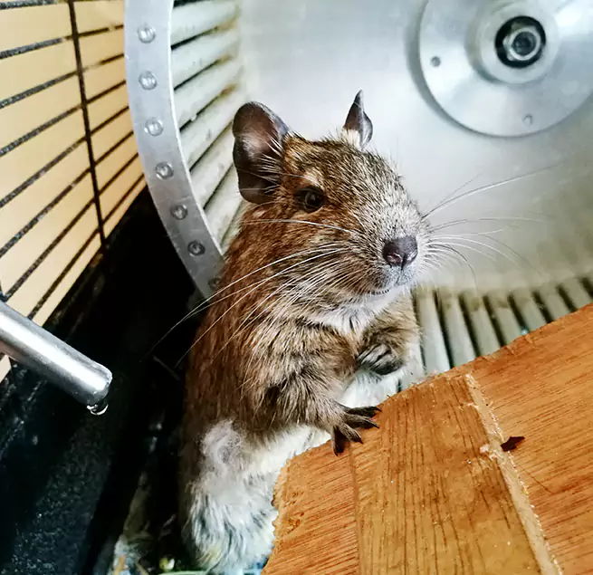 Why Homeowners & Businesses Trust Us Riverside, CA?